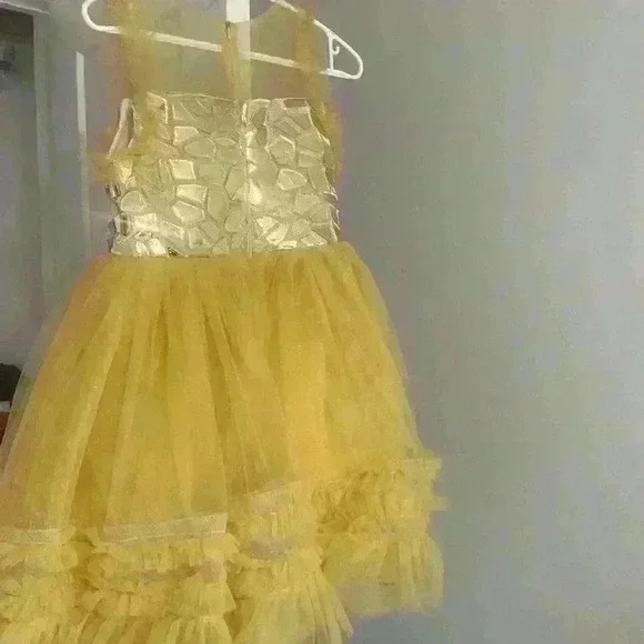 Gold princess  dress - Picture 6 of 6